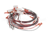 402025 Fetco Harness Low Amp Electrical
