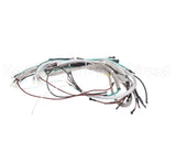 40240 Imperial R/H Wire Harness Iheg-J/Cs