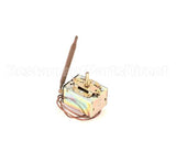 4030287 Antunes Thermostat 160F-400F