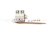 403K157 Antunes Thermostat Kit