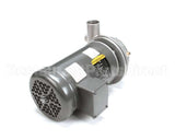 405922 Champion - Moyer Diebel Pump-Ci Asy C3 W/3Hp Motor