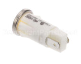 407452 Legion Amber Light