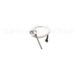 411410040 Besco Flame Rod Sensor