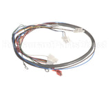 41202.0012 Bunn Wiring Harn, Door Pc-Juice (Disp Sw)