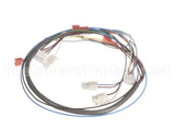 41202.0012 Bunn Wiring Harn, Door Pc-Juice (Disp Sw)