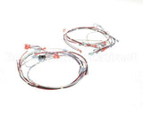 41390.7011 Bunn Wiring Harness,Tgl Dgtl Timer
