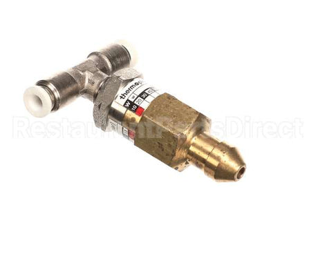 42800.1048 Thermoplan Chek Valve 16.5 Bar Set