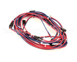 43-21009 Federal Industries Harness Lights