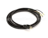 430953 Stoelting Harness; Cord 12 Ft. 20A 250V