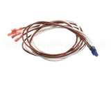 431111 Stoelting Wire Harness F231 Plenum