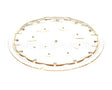 43920.0006 Bunn Sprayhead, 21 Hole Plastic Wav