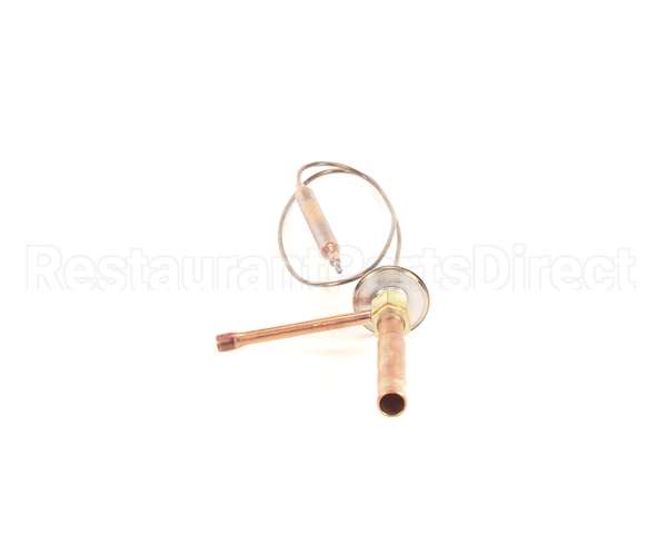 445542-01 Hoshizaki Expansion Valve