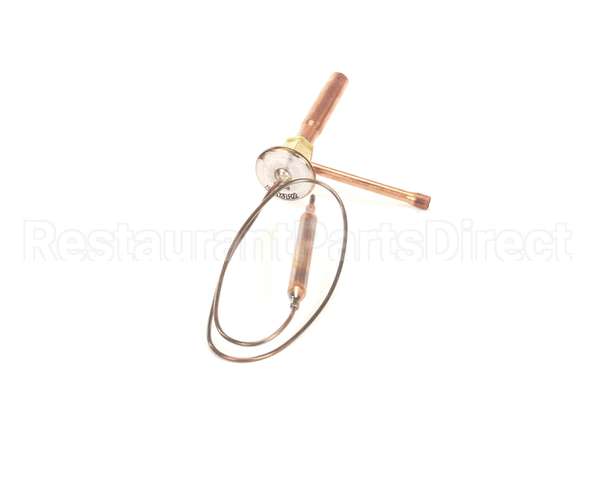 445542-01 Hoshizaki Expansion Valve