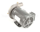 451525 Champion - Moyer Diebel Pump Asy 2Hp 3Ph Rl Ci Sst Imp