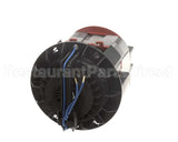 45202H.1 Dynamic Mixer Motor (115V)