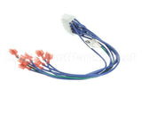 4522524 Garland Transition Harness