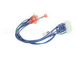 4522524 Garland Transition Harness