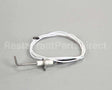 4523415 Garland Sensor, Dsi Burner Pack