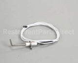 4523415 Garland Sensor, Dsi Burner Pack