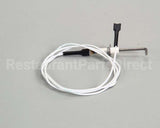 4523415 Garland Sensor, Dsi Burner Pack