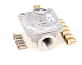 4531367 Garland Conversion Kit Thermostat Nat Gtggm