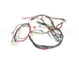 4532621 Garland Harness_Gas Burner Assy