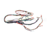 4532621 Garland Harness_Gas Burner Assy