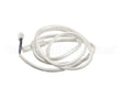 453531507 Hoshizaki Thermistor
