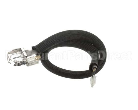 455946 Legion Pilot Burner Ignitor Sensor