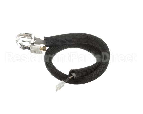 455946 Legion Pilot Burner Ignitor Sensor