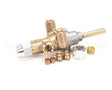 4601578 Garland Flame Failure Valve Assembly