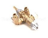 4601582 Garland Flame Failure Valve Assembly