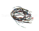 4602143 Garland Harness Main