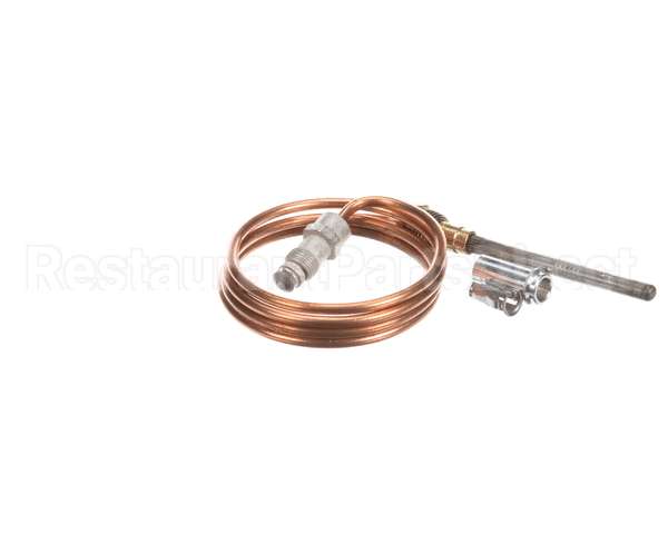 460274 Legion Thermocouple