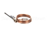 460274 Legion Thermocouple