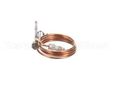 460274 Legion Thermocouple