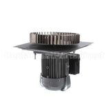 4602806 Garland Kit Motor Assembly 115V 2Sp 0.6Hp
