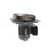 4602806 Garland Kit Motor Assembly 115V 2Sp 0.6Hp