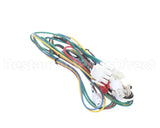 4604390 Garland Harness Acl Control
