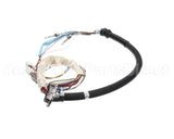 4604397 Garland Platen Harness Tc Conduit Assy Mcd For S