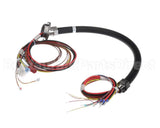 4608377 Garland Platen Harness Conduit Assy, Cfa