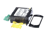 46123 Silver King Control Electric 115V (Prgrmd)