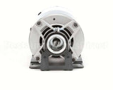 4805 Multiplex Motor Electric 1/3 Hp 110/220V