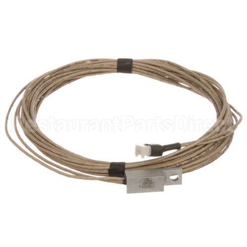 4877223 Apw Rtd Temp Probe