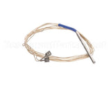 4883185 Apw Wyott Probe, Rtd, 60 W/0.19 Dia. X 3