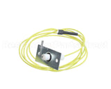 48DP500613 Bryant Payne Flame Sensor