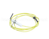 48DP500613 Bryant Payne Flame Sensor