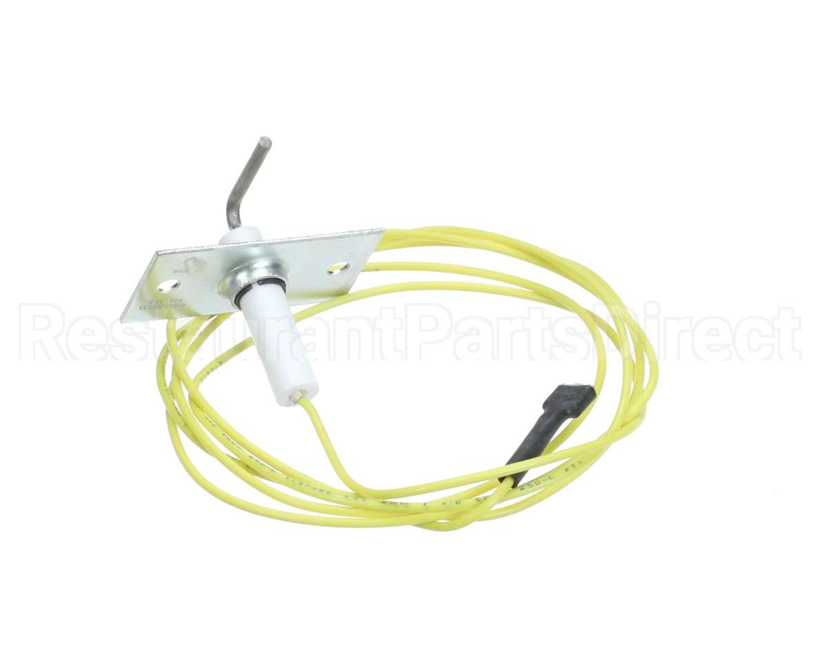 48DP500613 Bryant Payne Flame Sensor