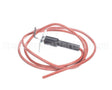 48DP500623 Bryant Payne Electrode Ignitor With Wire
