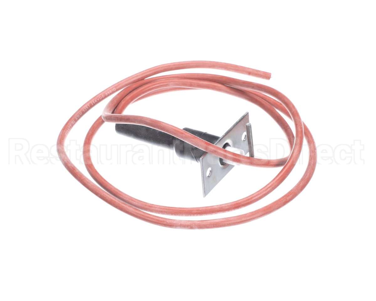 48DP500623 Bryant Payne Electrode Ignitor With Wire
